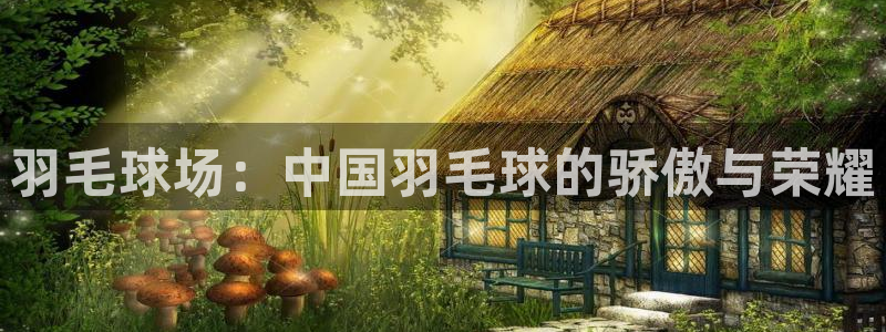 500体育网 安卓没有模拟玩法：羽毛球场：中国羽毛球的骄傲与荣耀